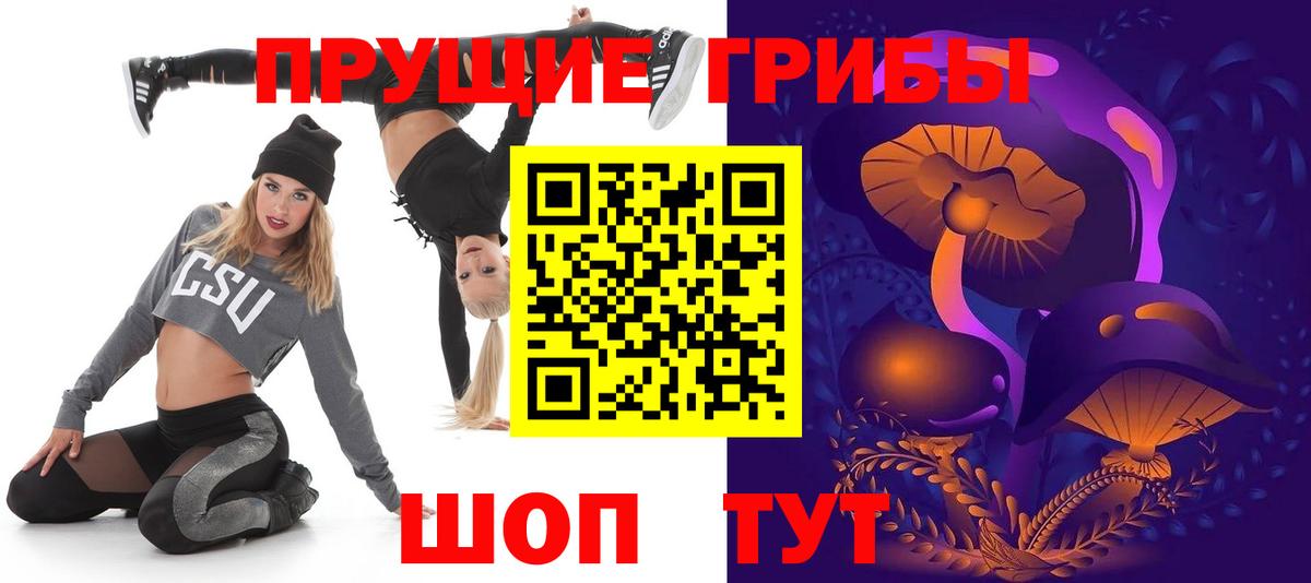 Галлюциногенные грибы Cubensis Гулькевичи