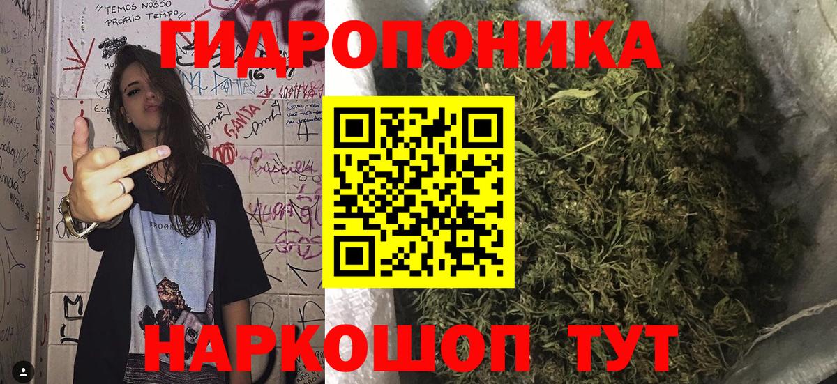 Гулькевичи  Шишки марихуана Bruce Banner  Вход с VPN  Бошки марихуана гибрид 